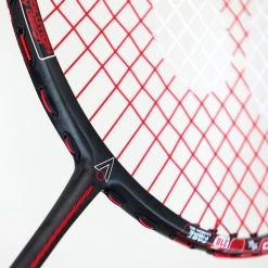 Tecnifibre shop -Tecnifibre shop BRKA12734bn60badminton P2